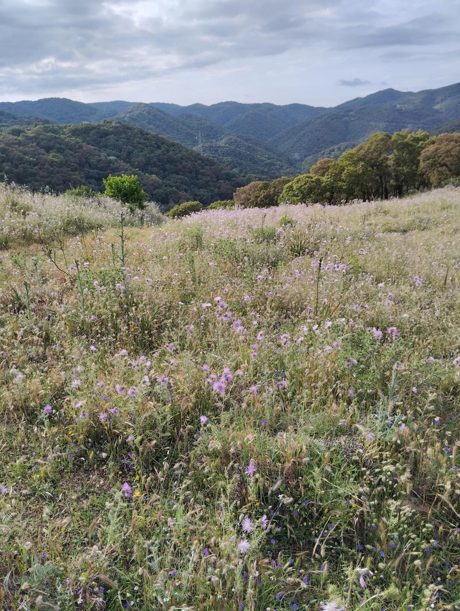 Appartamento Casa vacanze Lo specchio Iglesias Esterno foto